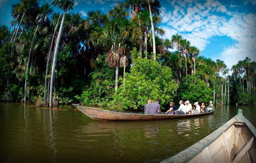 Tambopata Giant Otter Expeditions