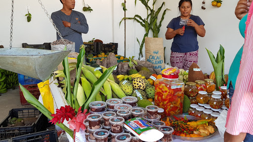 Feria Artesanal Agropecuaria