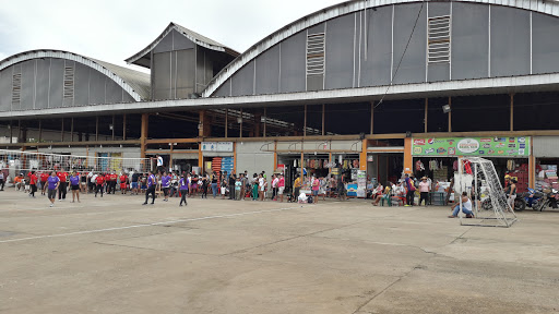 Movimiento Regional Vamos Madre de Dios