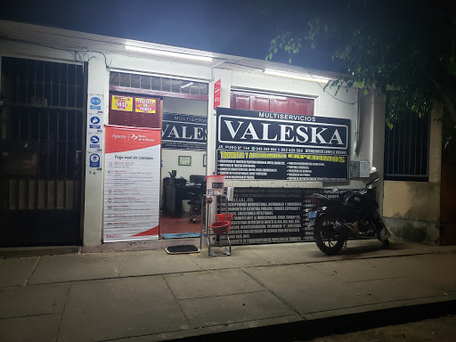 MULTISEVICIOS VALESKA PUERTO MALDONADO S.A.C.