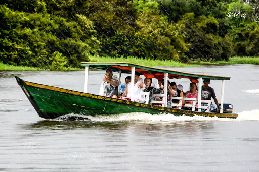 Puerto Maldonado Tours