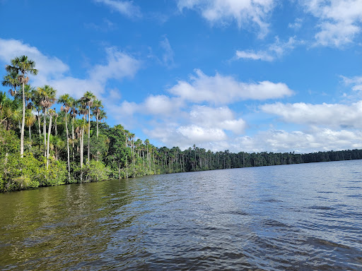 Reserva Nacional Tambopata