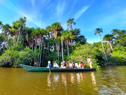 tambopata rainforest tours