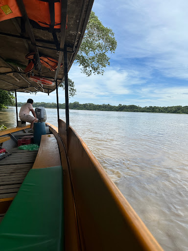 Green Jungle Tours