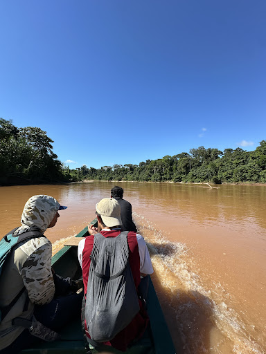 Wild Tours Peru