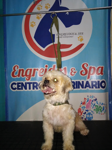 CENTRO VETERINARIO ENGREÍDOS & SPA