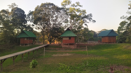 Sunrise of Tambopata