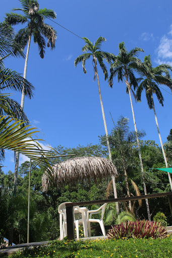 La Habana Amazon Reserve