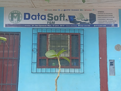 Datasoft F&M